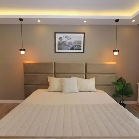 Metropolitan Art Apartment *